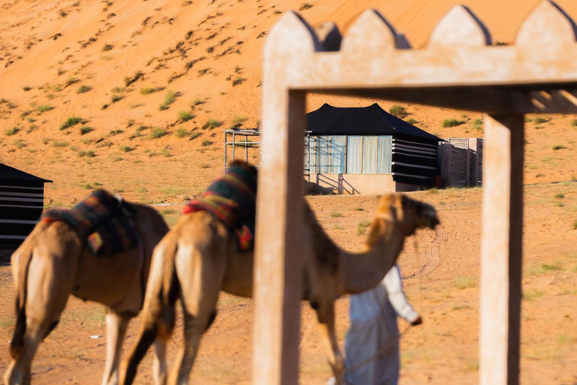 Thousand Nights Camp Shāhiq Стая снимка